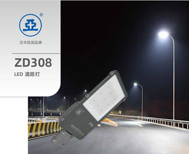 ZD308 LED 道路燈